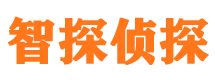 日喀则市场调查